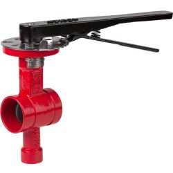 Válvula Mariposa Ranurada 2120